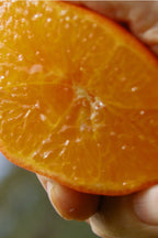 Car Air Freshener - Orange Tea - Classic Orange