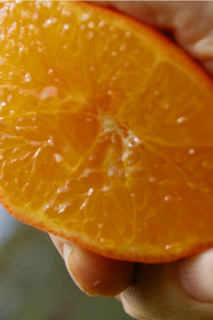 Car Air Freshener - Orange Tea - Classic Orange